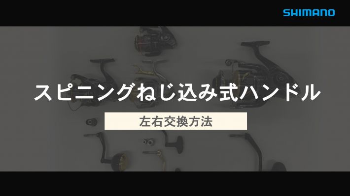 今日の超目玉】 セフィアBB 使用回数3回糸巻いてます。すみません桁を